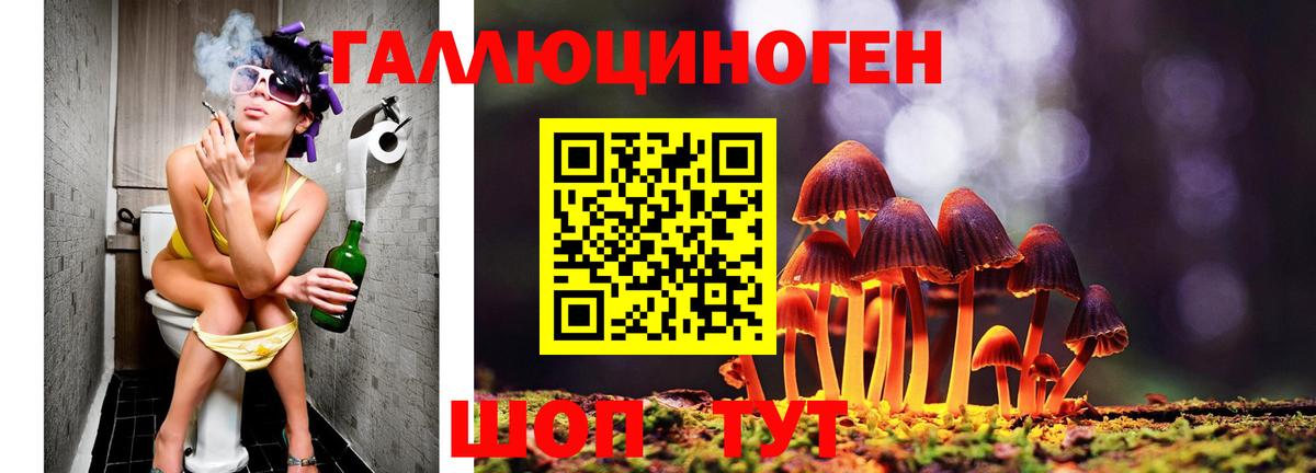 Галлюциногенные грибы Psilocybine cubensis  Вход с VPN  Лобня 